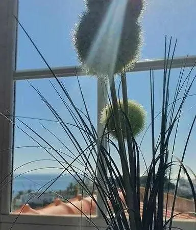 Solar Do Vau Apartmán